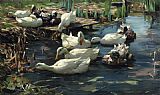 Quiet Canvas Paintings - Ducks in a Quiet Pool